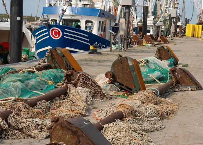 Ferienhaus-friesenengel ドルヌマージール